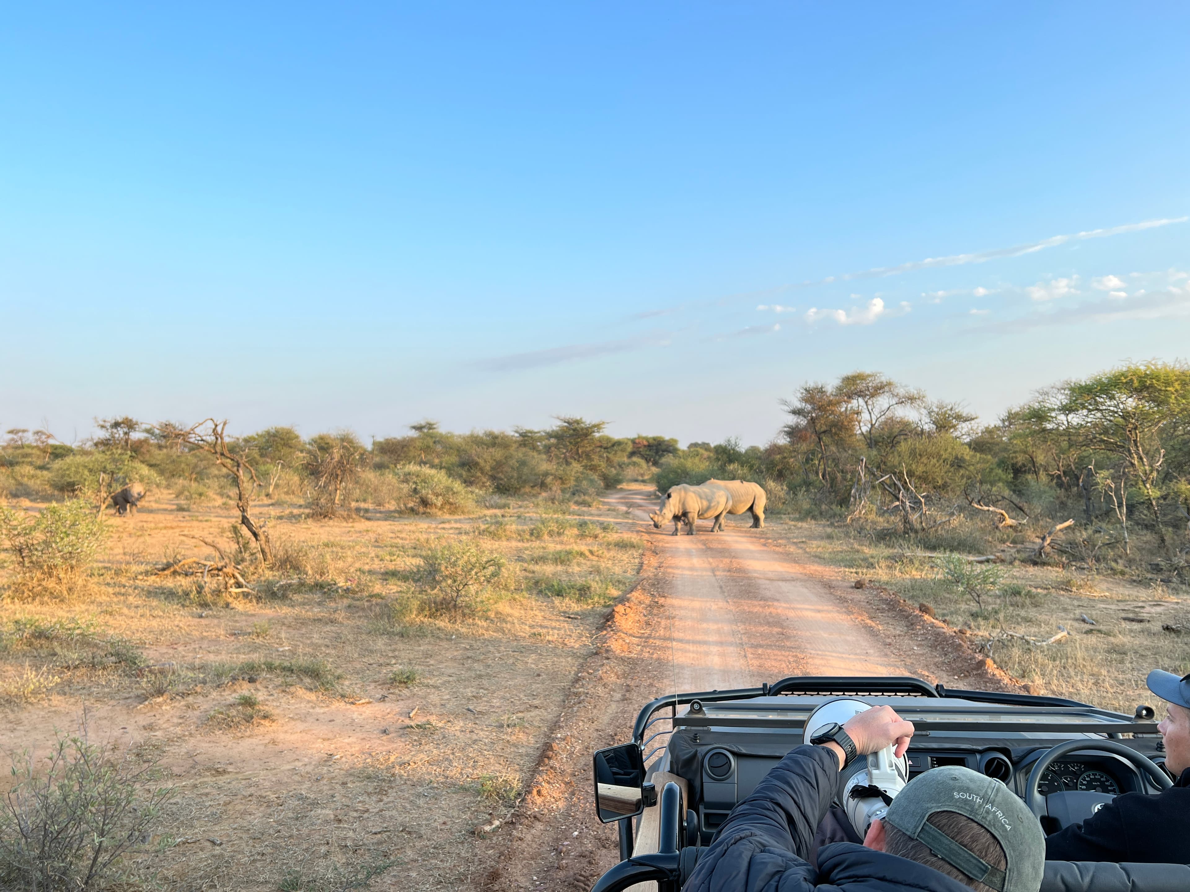 Safari landscape at golden hour
